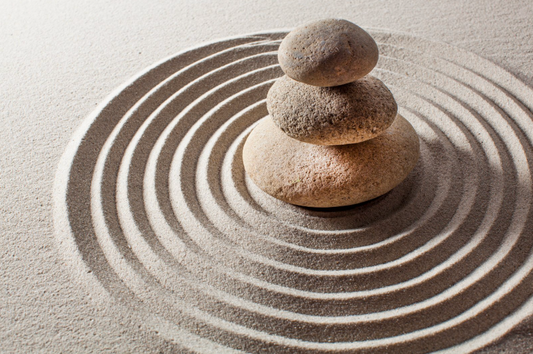 Fight, Flight, Freeze & Fawn