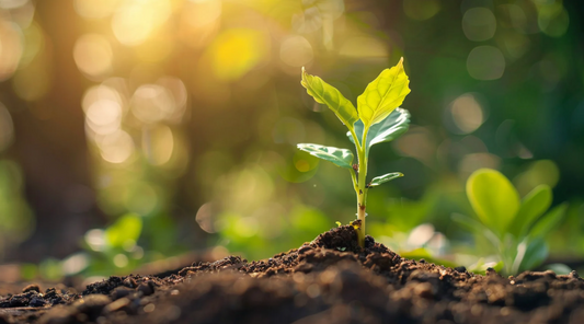 Use Your Mind to Create Better Days